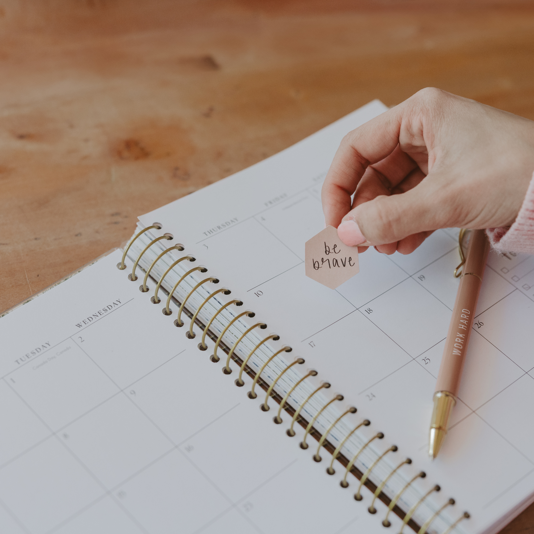 *NEW* You Have A Purpose 2025-2026 18 Month Planner